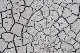 干旱土地