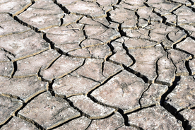 干旱土地