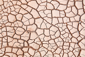 干旱土地