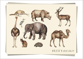 9款入野生动物图鉴