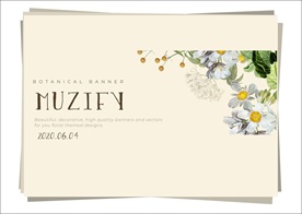 白色雏菊花边 边框设计