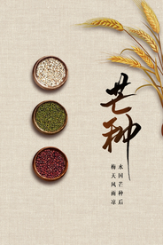 芒种古风传统气节海报展板