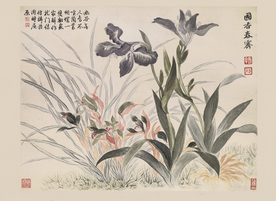 清代恽寿平花草绘画