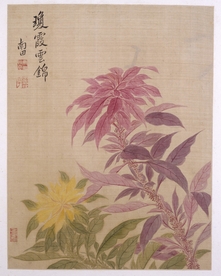 清代恽寿平花草绘画