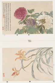 清代恽寿平花草绘画