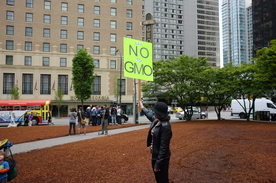 加拿大温哥华建筑风景图片