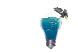 创意灯泡想法图片