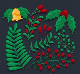 精美圣诞植物设计
