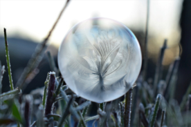 泡沫肥皂泡泡气泡图片