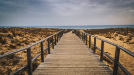 栈桥木质栈桥图片