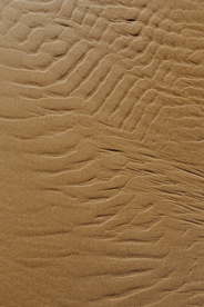 沙滩海滩海岸海滨图片