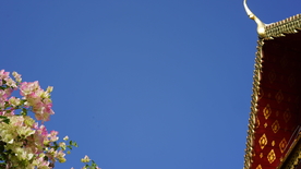 泰国清迈人文风景图片