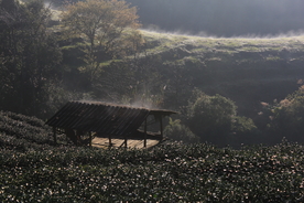 泰国清迈人文风景图片
