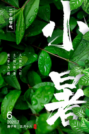 小暑节气柠檬夏季传统活动海报