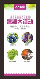 葡萄促销广告