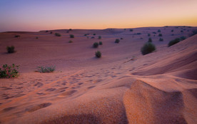 沙漠荒漠戈壁荒野图片