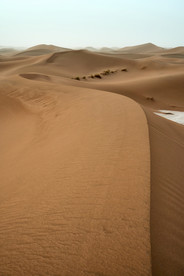 沙漠荒漠戈壁荒野图片