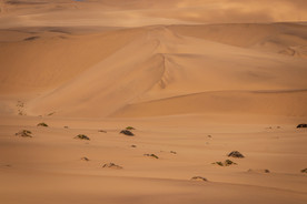 沙漠荒漠戈壁荒野图片