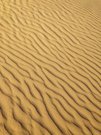 沙漠荒漠戈壁荒野图片