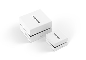 包装盒礼盒样机