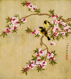 中国风花鸟工笔画