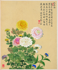 中国风花鸟工笔画