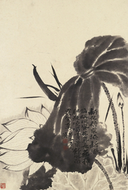 植物花鸟国画字画