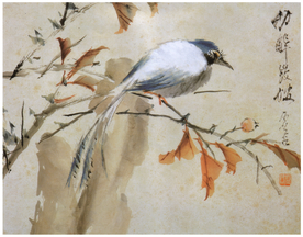 植物花鸟国画