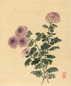 植物花鸟国画