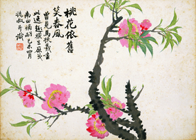 植物花卉绘画图谱