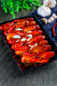 小龙虾大龙虾图片