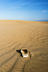 拖鞋人字拖平拖图片