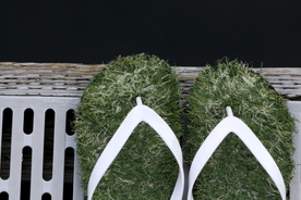 拖鞋人字拖平拖图片