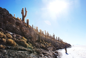盐湖盐沼盐池盐块风景图片