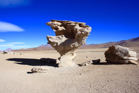 盐湖盐沼盐池盐块风景图片