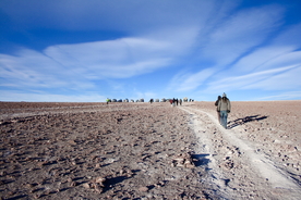 盐湖盐沼盐池盐块风景图片