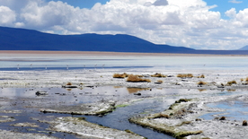 盐湖盐沼盐池盐块风景图片