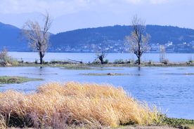 洱海湖泊风景图片