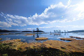 洱海湖泊风景图片