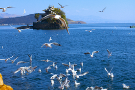 洱海湖泊风景图片