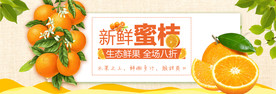 新鲜蜜桔大促销优惠