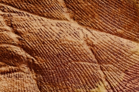 砖墙砖头纹理肌理墙壁背景素材