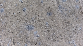 混凝土底纹背景