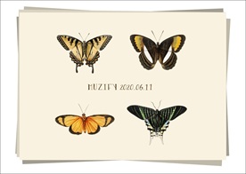 花鸟鱼虫宠 素描画