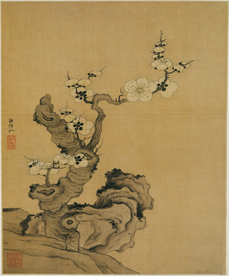 植物花朵工笔画