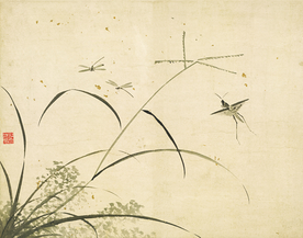 植物花朵工笔画