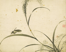 植物花朵工笔画