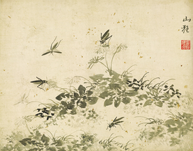 植物花朵工笔画