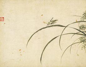 植物花朵工笔画