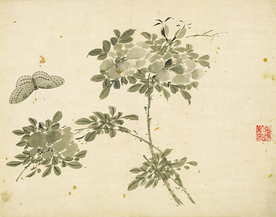 植物花朵工笔画